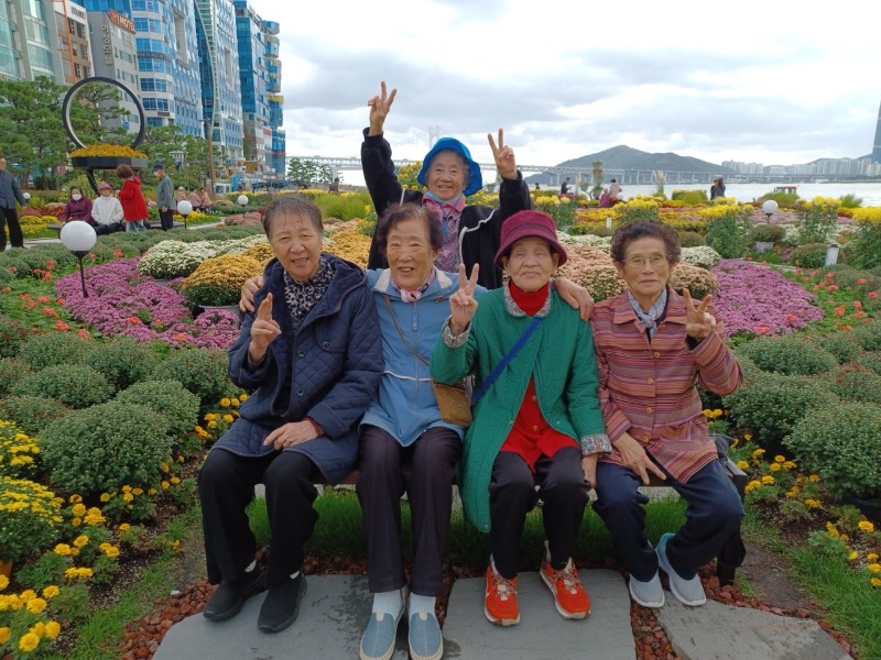 25년 10월 황금빛 내인생 - 광안리국화축제.jpg